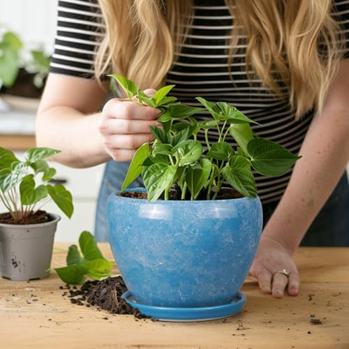 Ceramicfor 6 Inch Plant Pot - Ceramic Planter Pot with Drainage Hole and Saucer, Glaze Succulent Pot Modern Round Flower Pot for Indoor Plants, Blue - Image 7
