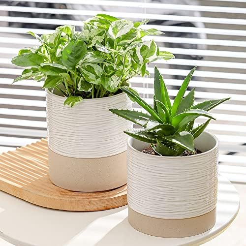 Nihow Ceramic Plant Pot,6 Inch Planter with Drainage Hole&Saucer for Indoor - Image 6