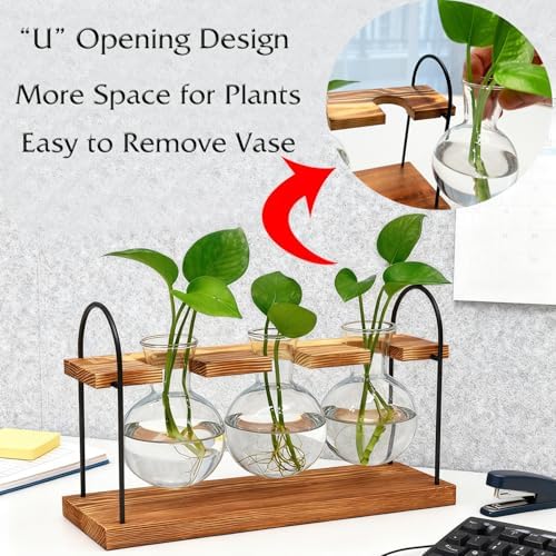 Plant Terrarium with Wooden Stand, Birthday Gift for Women Mom Plant Lover - Image 4