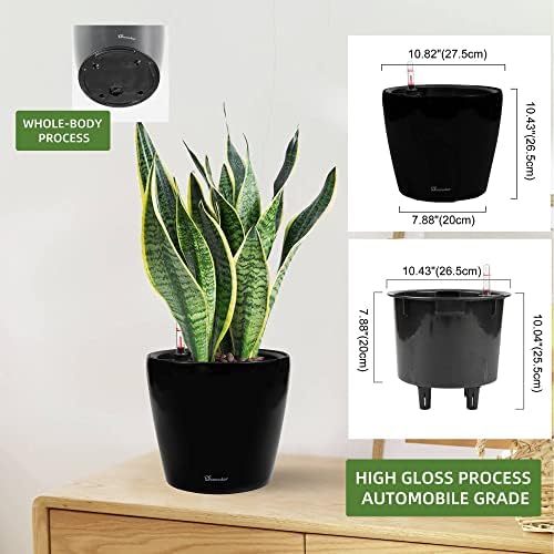 Dexceder 11x10 Self Watering Planter (Black High Gloss) - Image 3