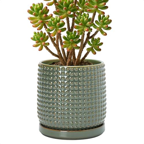 D'vine Dev Beaded Ceramic Pot with Saucer, 6 in, Olive, 27-C-X-0 by DvineDevPlanterPotsandStand