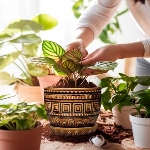 G EPGardening Succulent Pot 5.5 Inch - Ceramic Plant Pot for Indoor Plants Outdoor, Round Boho Planter with Drainage Hole and Saucer, Gifts for Plant Lovers, Office Home Garden Decor, Brown - Image 4