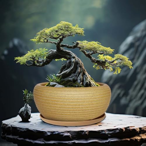 MUZHI 9.5” Round Large Ceramic Bonsai Bowl Planter，Clay Succulent Plant Pot Container with Saucer (9.5”) - Image 7
