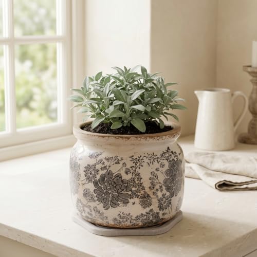 Rustic Ceramic Plant Pot with Decorative Saucer, Gifts for Plant Lovers - Image 6