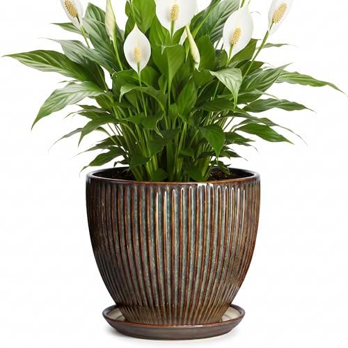 Ceramic Planter, 8 Inch Plant Pots for Indoor Plants, Round Planter with Drainage Hole and Saucer, Modern Decorative Flower Pots, House Office Decor, Gifts for Plant Lovers, Retro Brown by Unknown