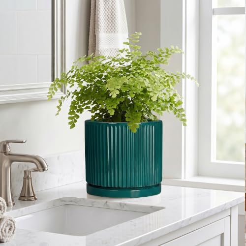 8 Inch Ceramic Planter, Round Pots for Plants, Blackish Green - Image 7