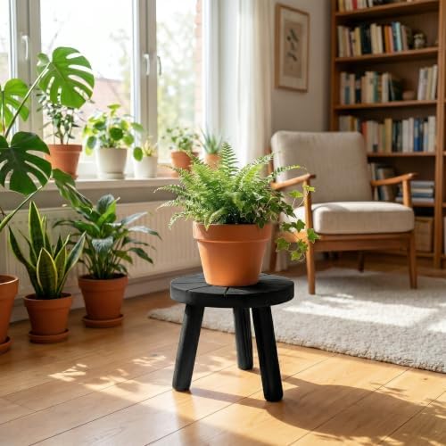 Delma Wood Plant Stands 3-Pack Indoor, Plant Stool, Black - Image 2