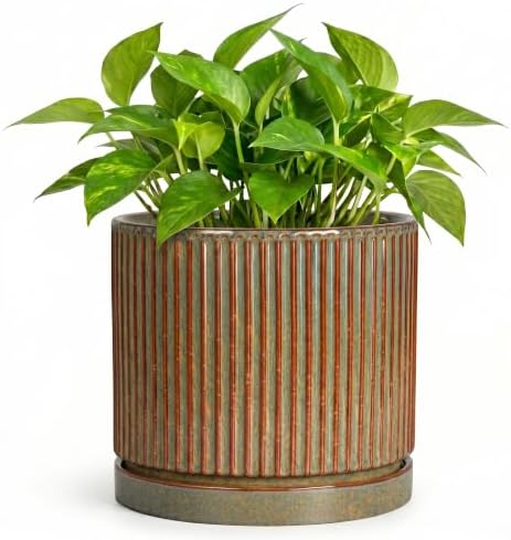 6 Inch Plant Pot, Ceramic Planters with Saucer, Retro Brown by Unknown