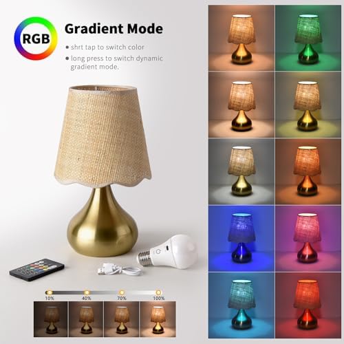 Ziqqeelam Cordless Table Lamp Rechargeable, Good Mini Table Lamp for Nightstand, Battery Operated Small Table Lamp for Small Spaces for Kitchen Counter, Bookshelf, Bedside, Bedroom, Living Room - Image 2
