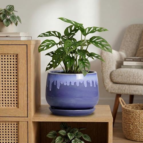Ceramic Planter for Plants- 9 Inch Plant Pots Indoor with Drainage and Saucer, Decorative Planters, Durable Round Indoor Flower Pot, Garden Room Decor, Plant Gifts for Women Men, Blue - Image 4