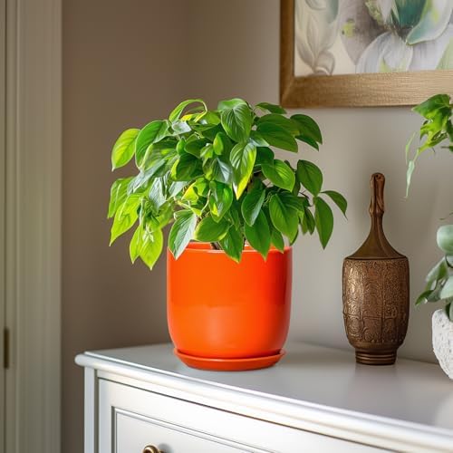 7 Inch Plant Pot - Ceramic Planter with Drainage Hole and Saucer, Modern Round Ceramic Flower Pot for Indoor Outdoor Plants, Plant Lover Gifts, Home Garden Office Decor, Orange - Image 4