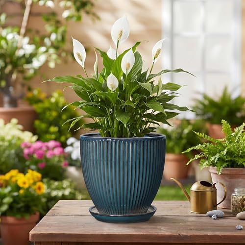 6 Inch Plant Pot, Ceramic Flower Pots for Indoor Plants, Round Planters with Drainage Hole and Saucer, Decorative Small Modern Flower Pots, Home Room Decor, House Warming Gifts, Retro Blue - Image 4
