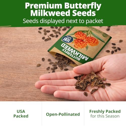 HOME GROWN Milkweed Butterfly Seeds – 108 (Asclepias Tuberosa) - Image 7