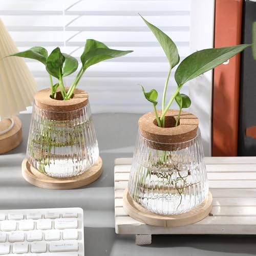 Baderke 12 Pack Propagation Vases for Plants, Vertical Grain Style - Image 3