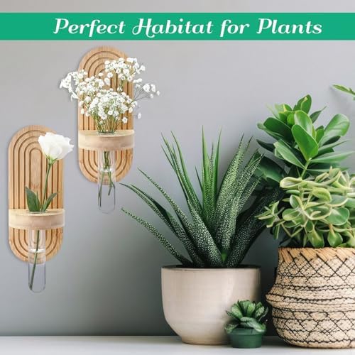 Beeveer 4 Sets Hanging Plant Propagation Stations Bamboo Wood Wall Mounted Test Tube Vase Rustic Decorative Glass Planter Holder Gift for Women Plant Lover Hydroponic Flowers Home and Office Decor - Image 5