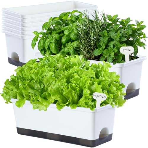 Oliz Window Box Planter 8 Pcs, 17 Inches Rectangle Flower Pots with Drainage Holes & Trays, Vegetable Planters for Windowsill Patio Garden Balcony Home Indoor Outdoor (White, 16 * 7 * 6 inch) by Oliz