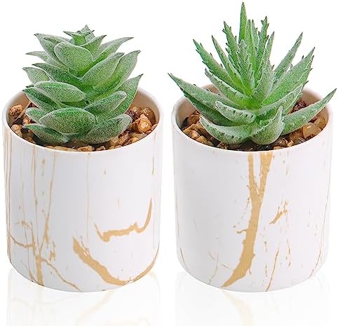 Der Rose 2 Pack Mini Fake Succulents Gold Accent Pots for Office Desk Decor by DerRose
