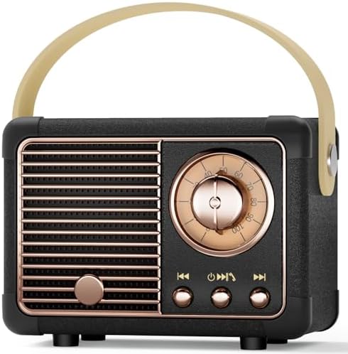 Bluetooth Speaker Retro Vintage Decor Wireless Speaker for Men Gifts Black by Caulikine