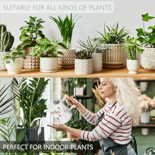 Watering Can Indoor Plants, 35oz Small Stainless Steel Metal Watering Can Modern Decorative Watering Pot with Long Spout for Indoor House Plant Bonsai Garden Flowers (White 1) - Image 5