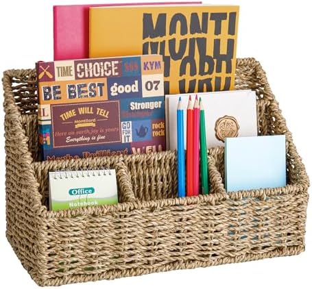 DINGTAI Mail Organizer Countertops, Desk Organizer Bills Organizer, Mail Sorters Organizers, Pencil Holder Magazine File Holder, Desk Organizer and Accessories(Seagrass) by DINGTAI