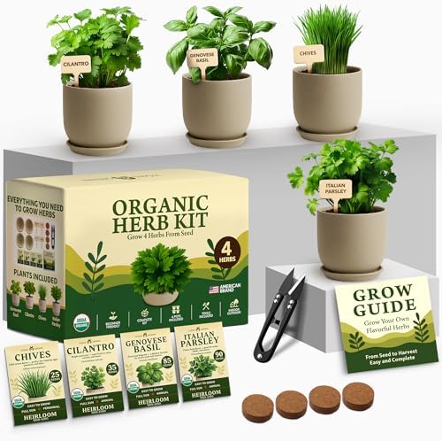 HOME GROWN Organic 4 Herb Indoor Garden Kit - Ideal Christmas Gift Set by HOMEGROWN