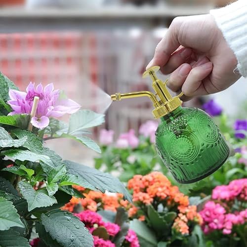 Glass Plant Mister Spray Bottle, 230ML Vintage Plant Spritzer, Succulent Watering Bottle Glass with Top Pump, Small Plants Sprayer Watering Can for Indoor Outdoor House(Green) - Image 2