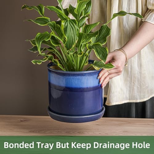 8 Inch Plant Pot: Ceramic Planter with Drainage Hole & Saucer for Indoor Outdoor Plants - Flowerpot with Bonded Tray for Home Office - Blue Reactive Glaze - Image 3