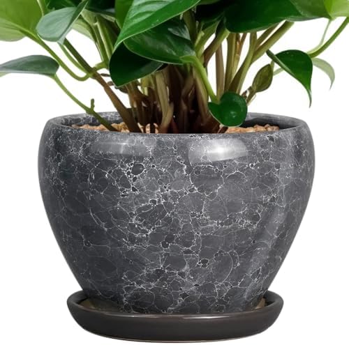Ceramicfor Ceramic Planter - 6 Inch Plant Pot with Drainage Hole and Saucer, Succulent Pot Glaze Round Flower Pot for Indoor Outdoor Plants, Gray by Ceramicfor
