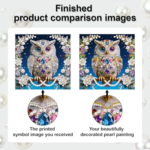 Xylzzuit Pearl Painting Kit with Frame All Inclusive 9.84x9.84IN DIY Gemstone Diamond Art Craft Supplies for Adults Beginners Craft Lovers Living Room Wall Desktop Decor Gift (Owl) - Image 4
