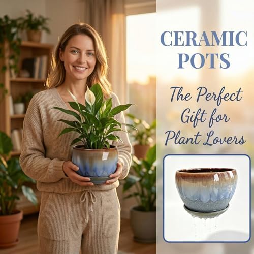 AVLA 3 Pack Ceramic Plant Pots, Gardening Drip Glazed Planters, Decorative Flower Pot with Drainage Hole and Saucer, Round Rustic Houseplant Container for Succulent Herbs Cactus Orchid, Home Office - Image 6