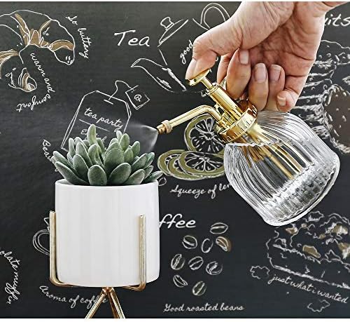 Glass Plant Mister Spray Bottle, Vintage Plant Water Spritzer, Succulent Watering Bottle with Gold Top Pump, Decorative Glass Sprayer Mister Small Watering Can for Indoor Houseplant - Clear - Image 3