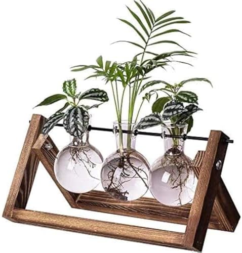 Kingbuy Plant Propagation Station, 3 Glass Bulb Vases with Wooden Stand by Kingbuy