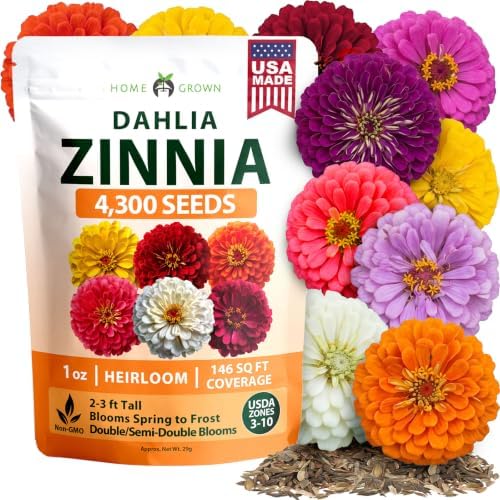 HOME GROWN Zinnia Seeds Dahlia Mix - 4300 Seeds, Zinnia Elegans by HOMEGROWN