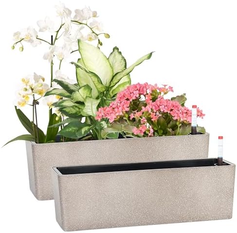Elongated Self Watering Planter Pots 2-Pack Window Box 5.5 x 16 inch Indoor Home Garden Modern Decorative Pot for All House Plants Flowers Herbs (Coffee,2) by GardenBasix