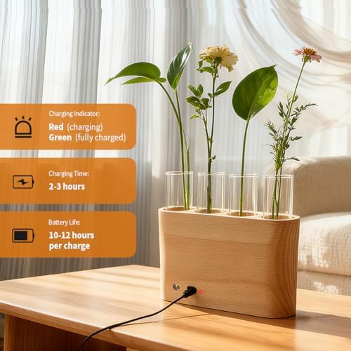 Rechargeable Plant Propagation Station with Wooden Stand,Desktop Terrarium Home Decor Dimmable LED Light 4 Glass Tubes Vases for Hydroponic Plants for Women - Image 2