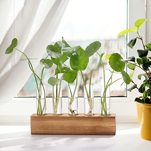 YIBOT Plant Propagation Station, Plant Terrarium with Wooden Stand - Image 3