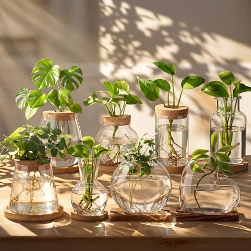 Honeydak 8 Pcs Plants Propagation Stations Desktop Glass Propagation Vases - Image 2