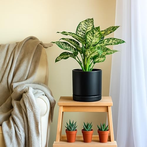 D'vine Dev 8.2 Inch Ceramic Planter Pot, Black, 94-O-D-2 - Image 6