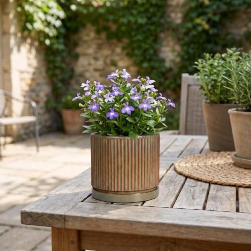 4 Inch Pots for Plants, Ceramic Plant Pots with Saucer, Retro Brown - Image 7