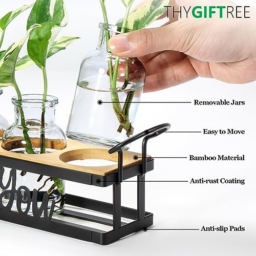 Plant Propagation Station "Rooting for You" Hydroponic Planter Vase - Image 2
