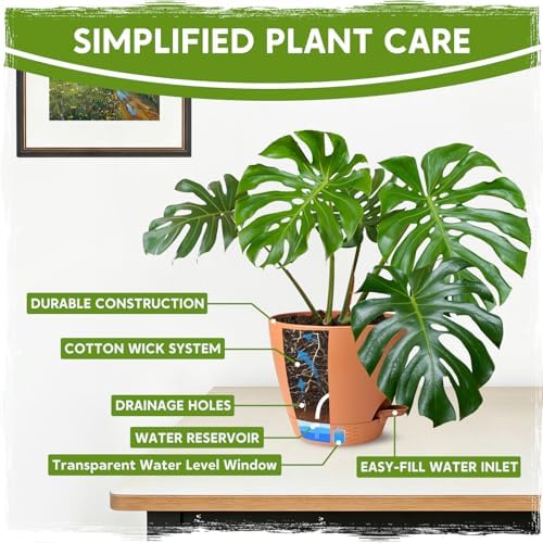 8 Inch Self Watering Pots for Indoor Plants, Plastic Planters with Deep Reservoir & Drainage Holes, Flower Pots for Monstera, Snake Plant & Peace Lily, Worry-Free Vacation Care (Terra Cotta, 8 inch) - Image 4