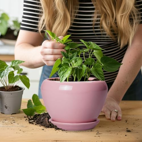 Ceramicfor 6 Inch Plant Pot - Ceramic Pot for Indoor Plants, Glaze Modern Decorative Round Ceramic Planter with Drainage Hole and Saucer, Plant Lover Gifts, Home Garden Room Office Decor, Pink - Image 6