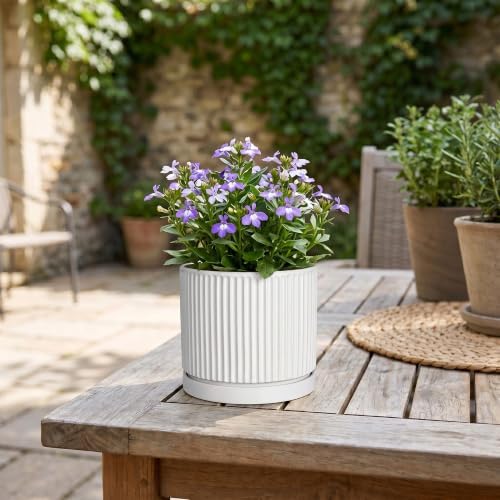 Ceramic Pots for Plants, 4 Inch Plant Pots with Saucer, White - Image 7