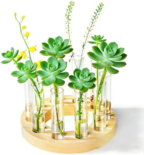 Melphoe Glass Bud Vases Small Flower Vase for Centerpieces Wedding Table Decorations, Home Decor, Propagation Station Plant Terrarium with Wooden Stand, Unique Plant Lover Gifts for Women (Beige) by Melphoe