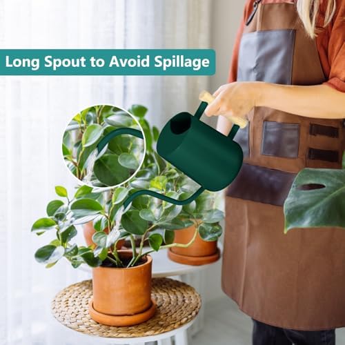Watering Can Indoor Plants, 35oz Small Indoor Stainless Steel Metal Watering Can Modern Decorative Watering Pot with Long Spout for Indoor House Plant Bonsai Garden Flowers (Alpinegreen) - Image 2