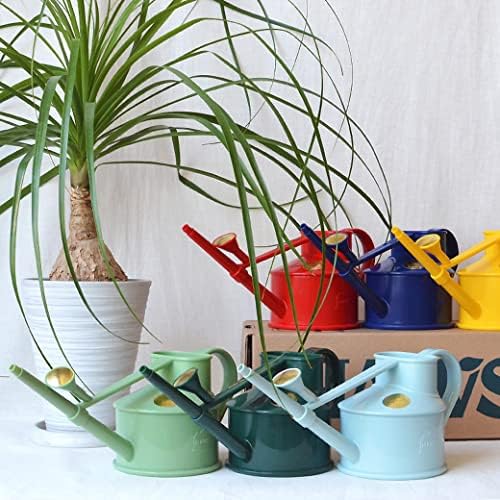 Bosmere Haws Handy Plastic Watering Can, Mini Water Can for Indoor Plants, Succulents and Flowers, Sage Green, 1 Pint - Image 6