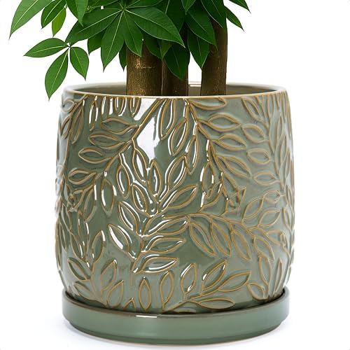 D'vine Dev Embossed Leaves Ceramic Planter, 10 in, Olive, 27-A-P-0 by DvineDevPlanterPotsandStand