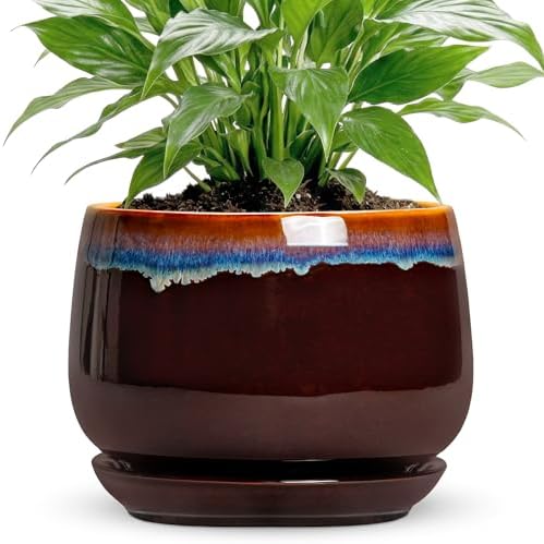 Ceramic Planter, 7 Inch Plant Pots with Drainage, Brown-Blue by Fivepot