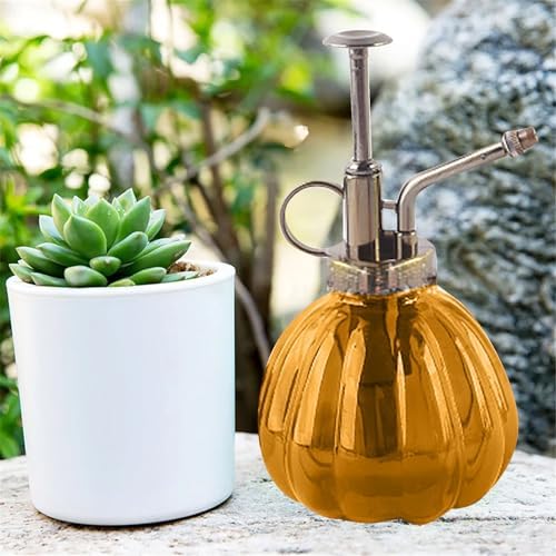 Spray Bottle for Plants, Plant Mister Spray Bottle, Glass Plant Mister Spray Bottle, Embossed Vintage Glass Watering Can, Succulent Watering Bottle with Top Pump for Outdoor (EE) - Image 3