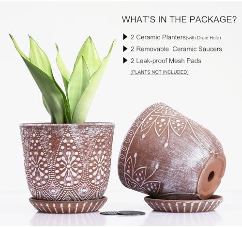 Gepege Ceramic Plant Pots, 6 Inch Indoor Planters with Drainage & Saucers - Image 3